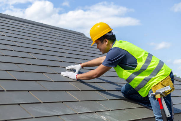 Best Storm Damage Roof Repair  in Clyde, NC