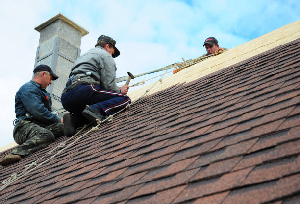 Roof Gutter Cleaning in Clyde, NC